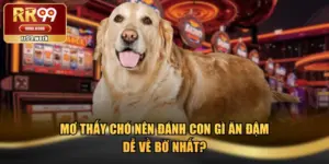 Mơ Thấy Chó Nên Đánh Con Gì Ăn Đậm, Dễ Về Bờ Nhất?