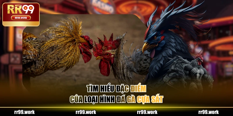 Tìm hiểu đặc điểm của loại hình đá gà cựa sắt